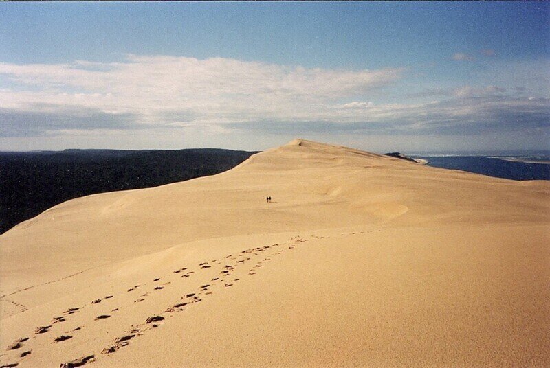 Как во Франции могла появиться такая огромная пустыня