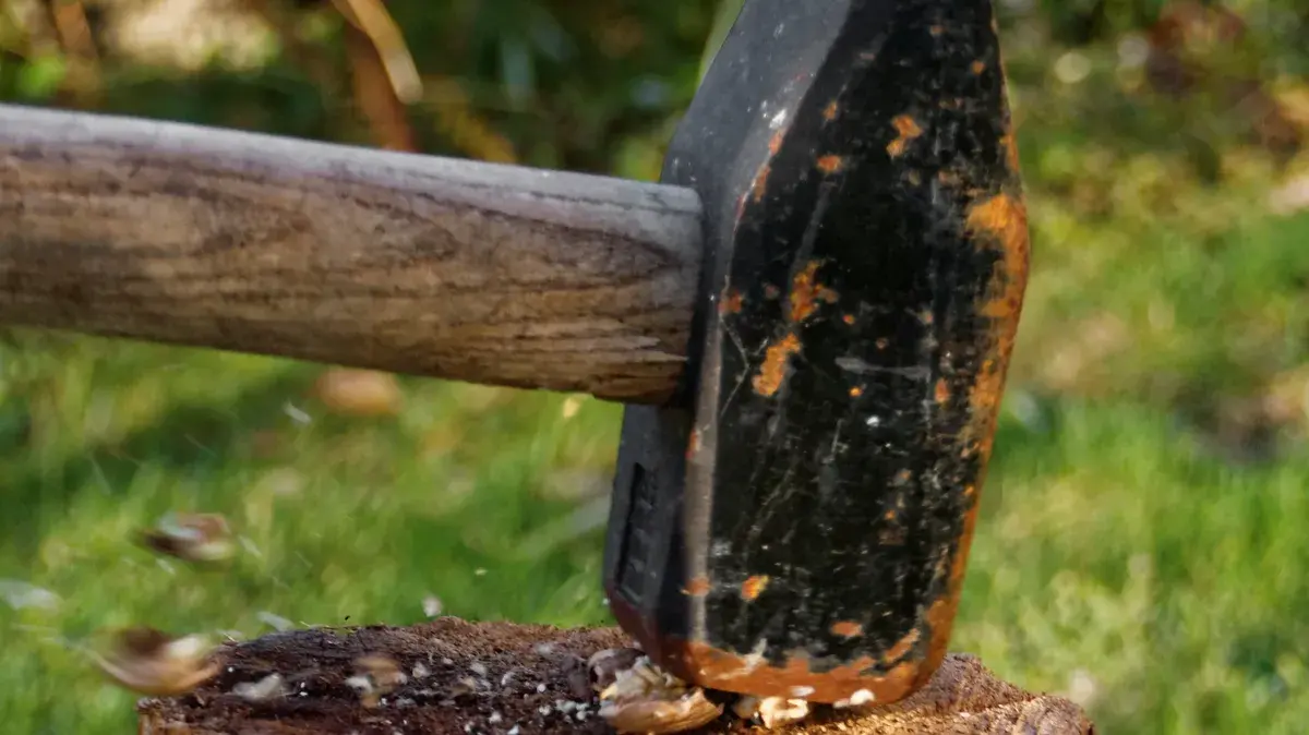 Ролики об убийстве кувалдой бывшего бойца ЧВК «Вагнер» Евгения Нужина набрали миллиарды просмотров на TikTok – за что казнили россиянина