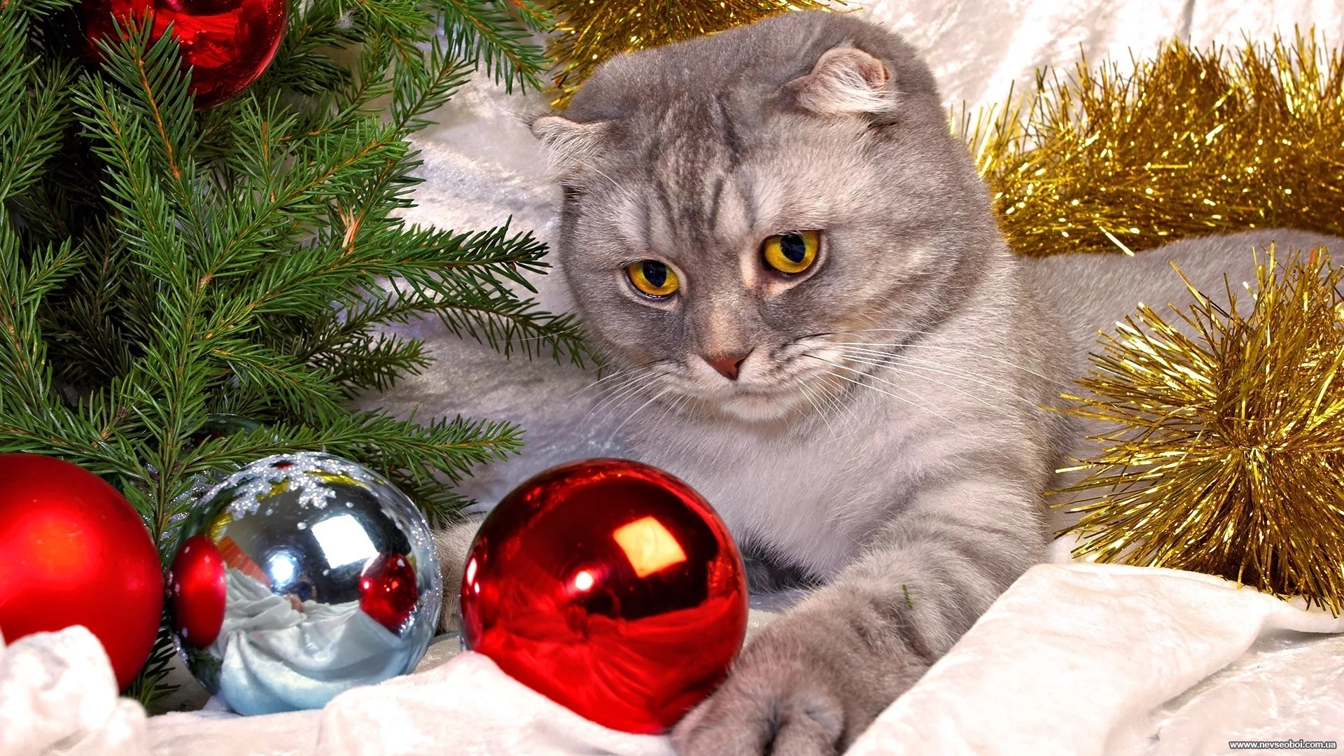 Новогодняя ёлка 2022: магические свойства новогодних ёлочных игрушек. Когда лучше всего наряжать ёлку? Даты, традиции