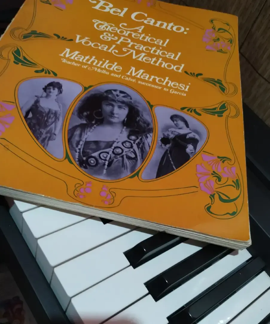 Смешное из жизни вокальных педгогов