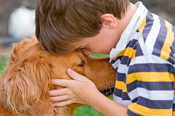 Элизер Юдковский. "Гарри Поттер и методы рационального мышления" (21+)