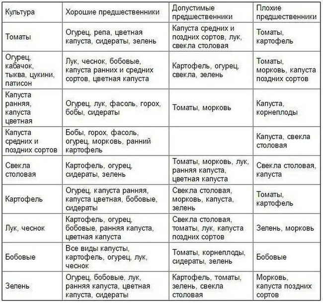 Лучшие и допустимые предшественники для основных овощных культур.