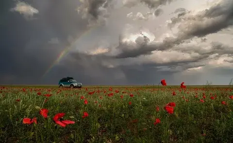 Меня на волю отпусти и ... полюби ее!