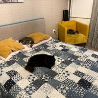 IMG-20221123-WA0005.jpg