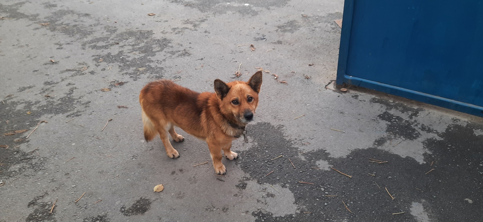 Качество нашей жизни