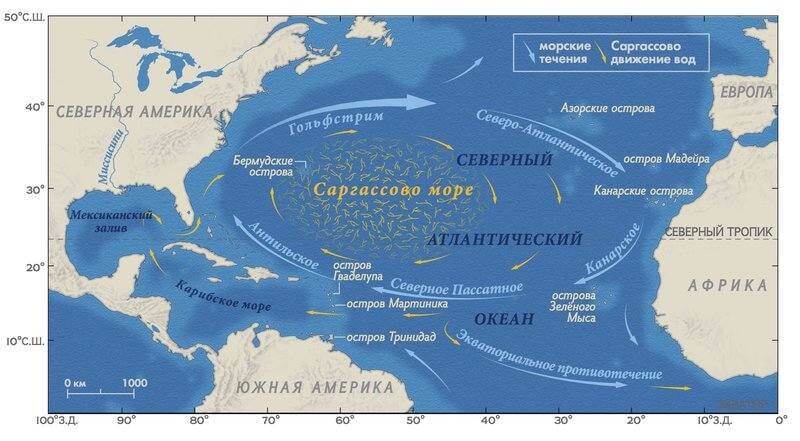 Карта течений средиземного моря