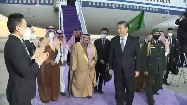 Не жужжи (Си Цзиньпин Западу).