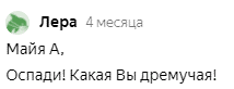 Яндекс Дзен славится токсичными комментаторами. Как меня называли «хамкой», «яжематерью» и хотели упечь в психушку