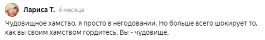 Яндекс Дзен славится токсичными комментаторами. Как меня называли «хамкой», «яжематерью» и хотели упечь в психушку