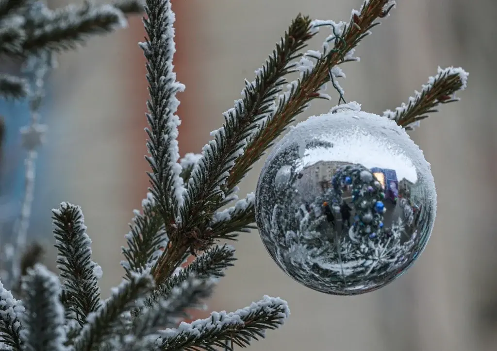 В Твери елку у администрации украсили фигурками доброго Байдена и Зеленского: для чего такая честь? Новогодние игрушки разбиться могут