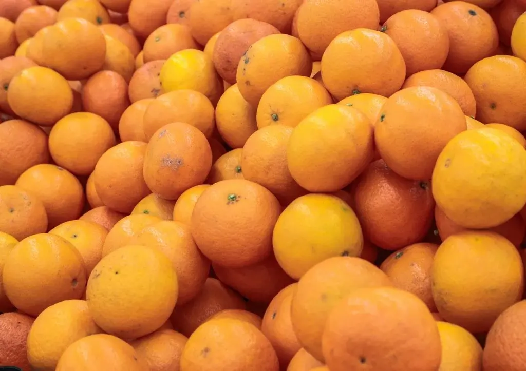 Грузовик мандаринов перевернулся на трассе Челябинск — Москва: все подробности, точные координаты