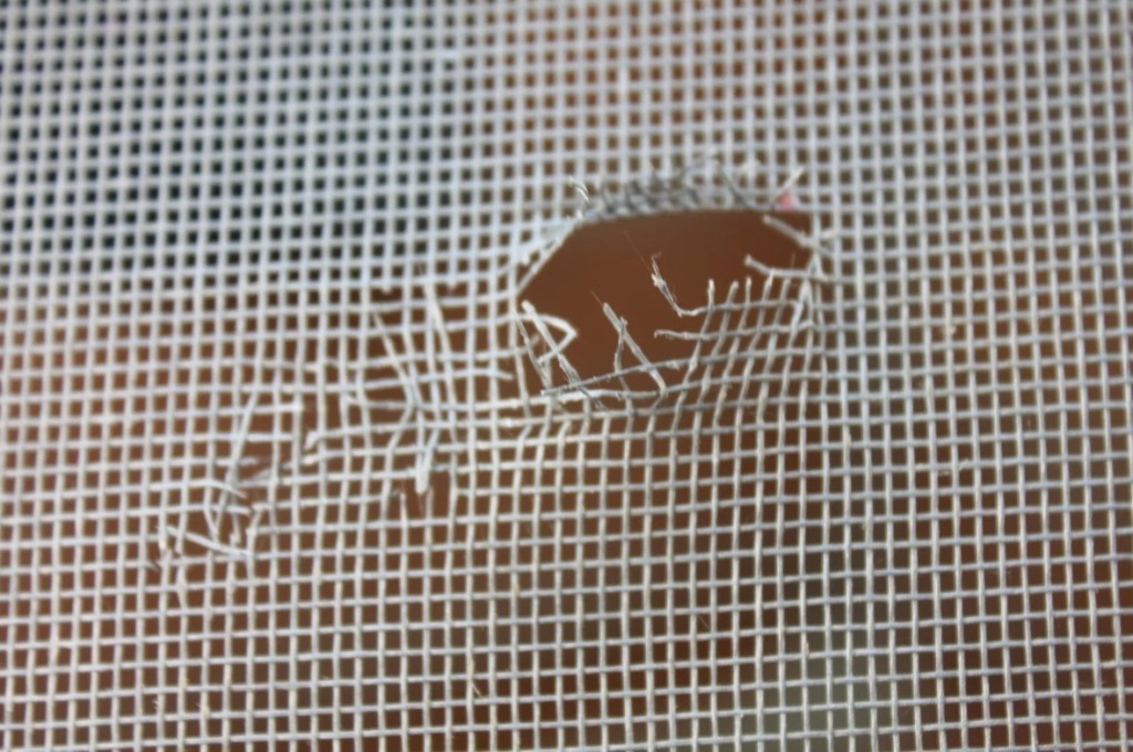 Вторая жизнь старых рваных колготок: не стоит отправлять их на свалку, они ещё могут пригодиться