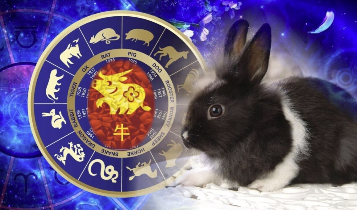Кролик или Кот? Гороскоп на 2023 год: какие знаки зодиака будут самыми удачливыми в новому году двух животных – а кому плакать