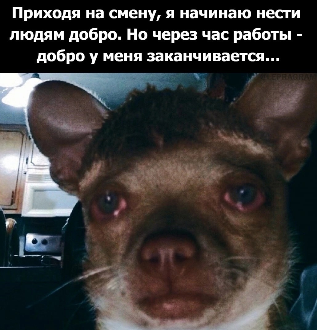 "Жизнь - не шахматы, одного мата мало", или кое-что о нецензурной брани