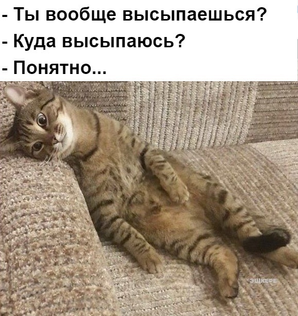 Смех во время чумы ( медики шутят)