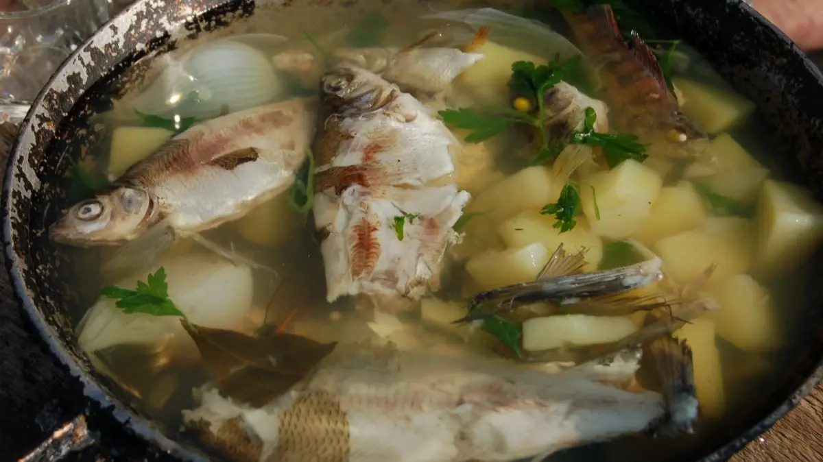 14 декабря 2022: какой сегодня праздник? Важные даты и события, что можно и нельзя делать в среду