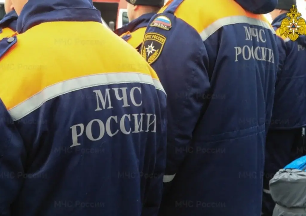 На Камчатке спасатели воссоединили семью собак: больше не будем ссориться — пусть нам завидуют