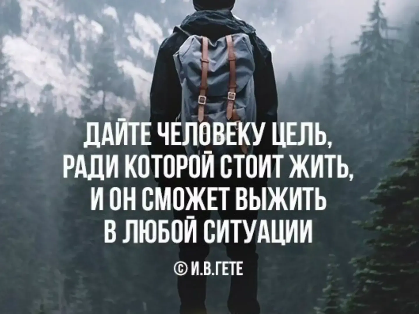 Не живем, а выживаем...