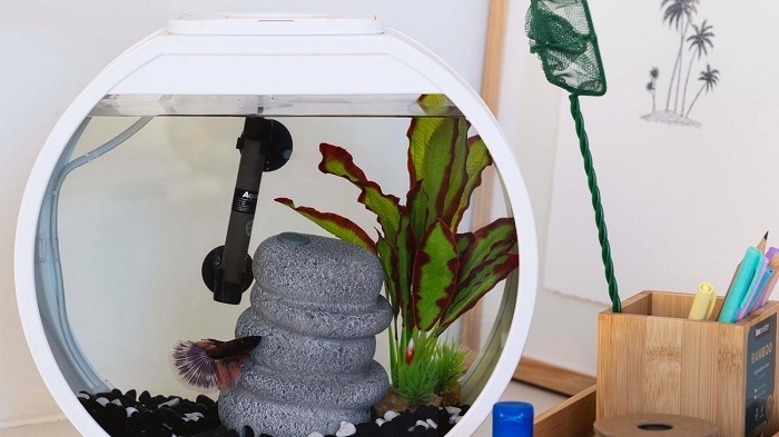 Двадцать пять советов по хранению в каждой комнате