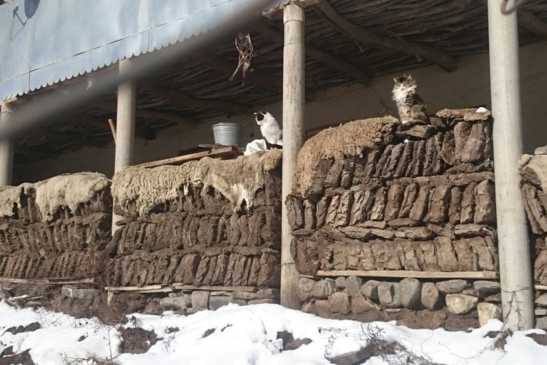 Уклад жизни в высокогорных аулах Дагестана не изменился за тысячу лет