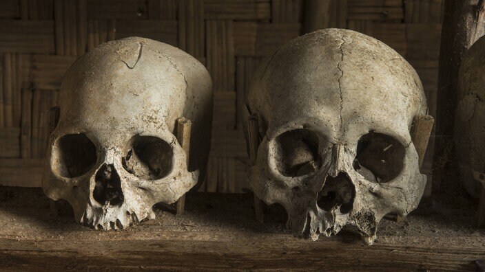 Жизнь в средние века : Чума на тропе