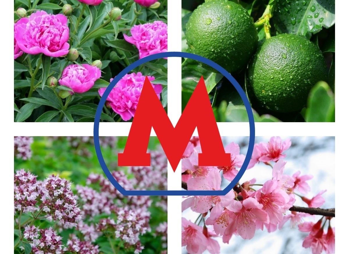 Ароматизаторы в метро! Как вам новость?