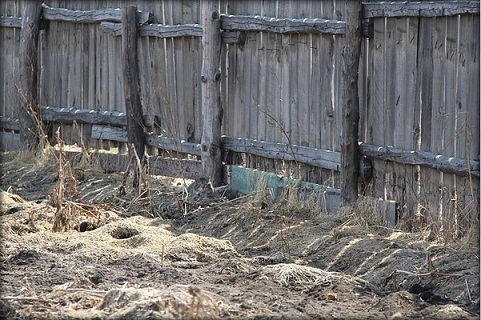 А кто сможет найти кота за 30 секунд! Это реально для самых зорких. Проверь себя!