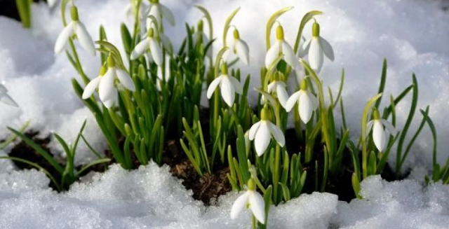 В марте будет календарная зима: какая погода ожидается в начале весны в России, в том числе в Москве, Санкт-Петербурге, Сибири и на Урале