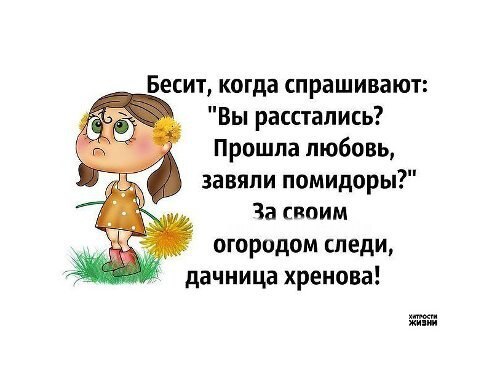 Прошла любовь завяли помидоры картинки прикольные с надписями