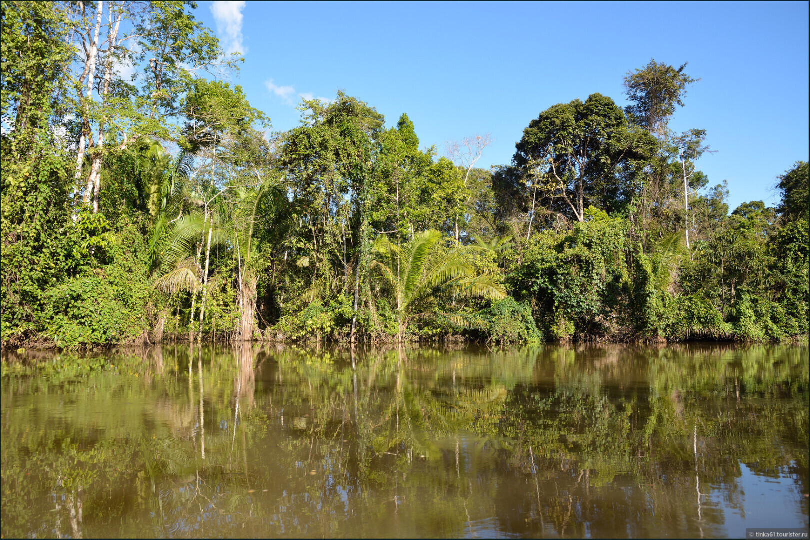 Кошмар Амазонки