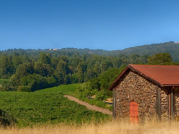 Краткая биография Джека Лондона