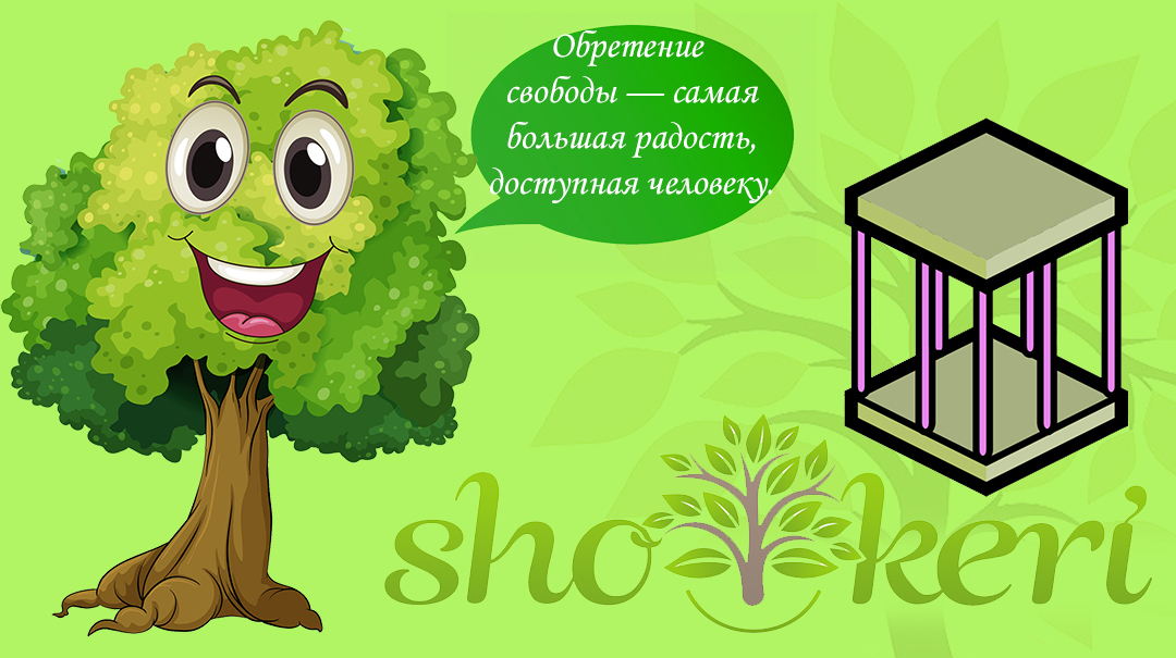 Почему финансовая свобода не возникает быстро