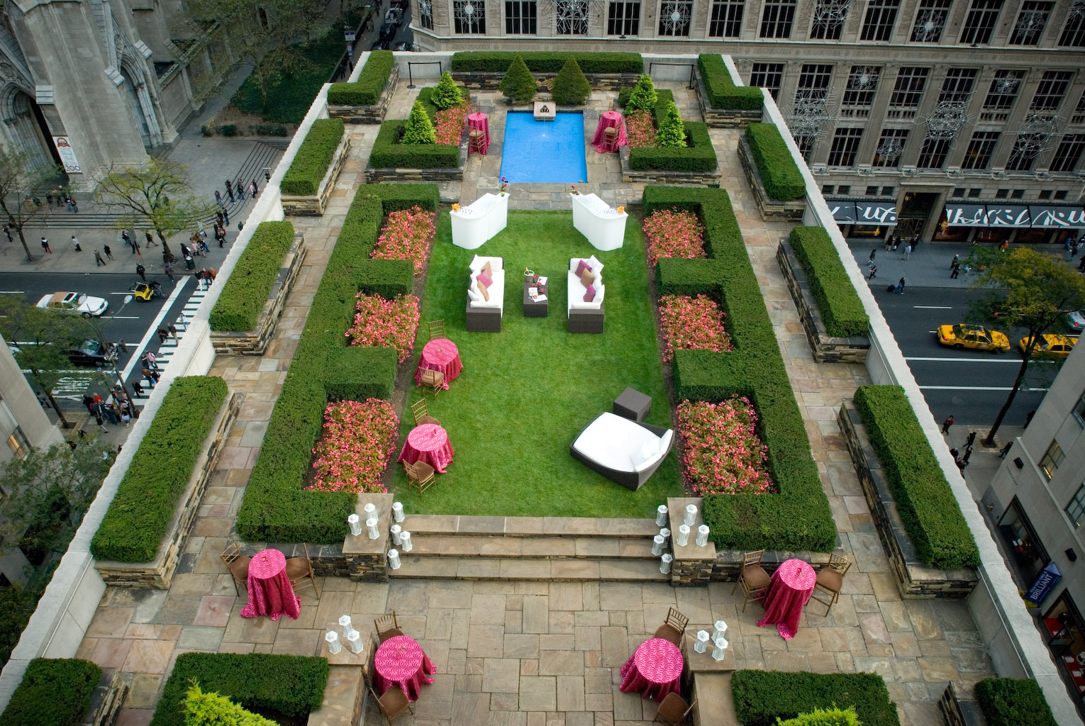 Растет зелень на крыше домов