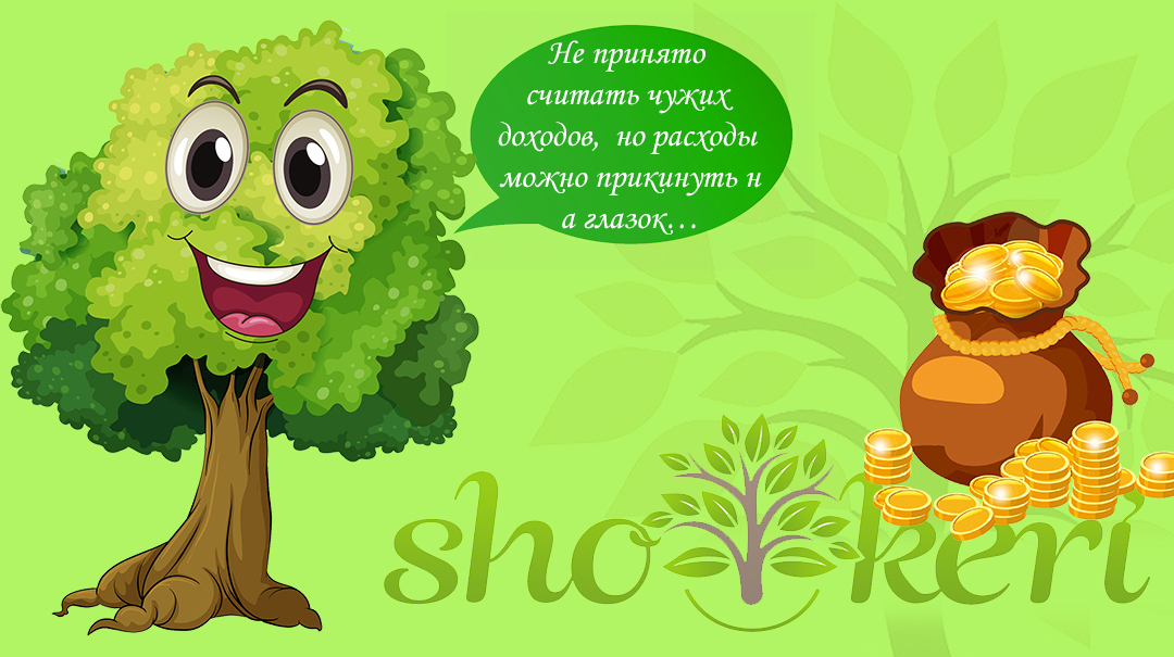 Какие нужно учитывать доходы при составлении семейного бюджета