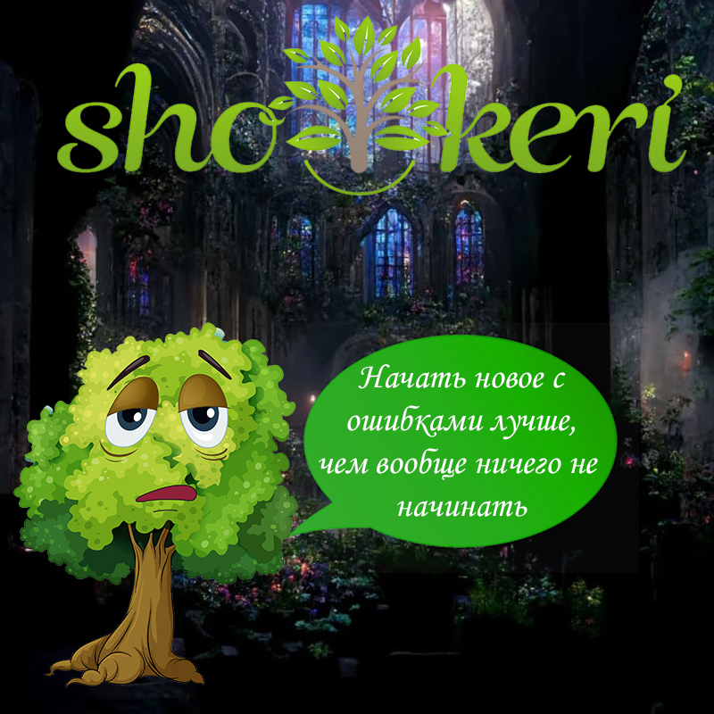 Какие нужно учитывать доходы при составлении семейного бюджета