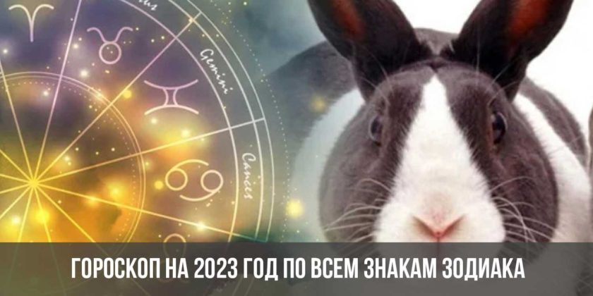 Гороскоп На 2023 Год Свинья Близнецы