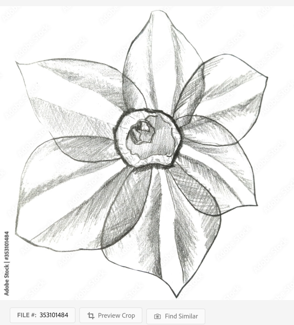 Отчет по стокам и блогам за ноябрь 2022