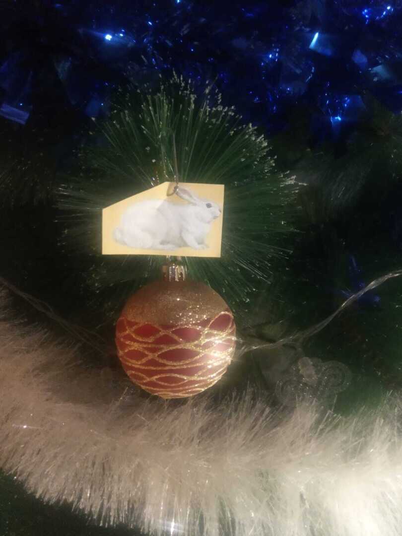 Новогодний ритуал для исполнения желания по симорону