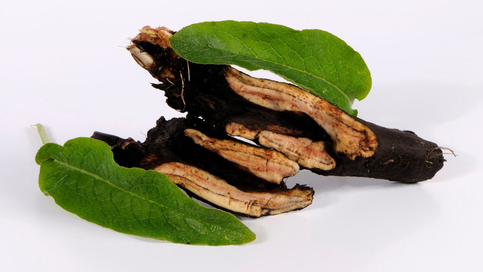 Любовь природы. Лекарственные травы