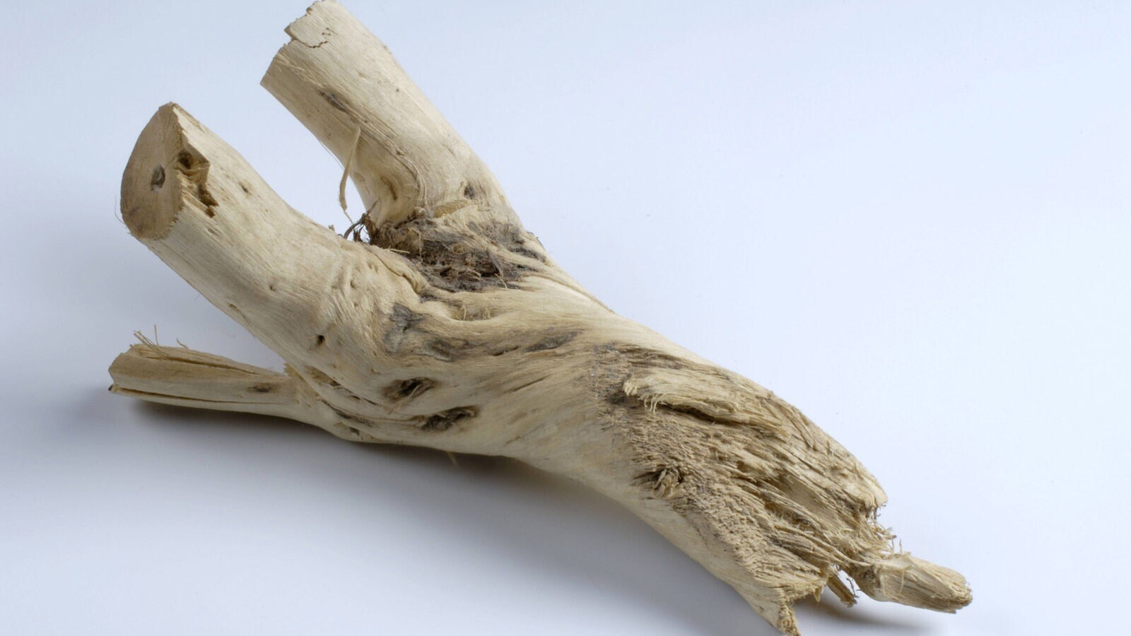 Дары природы. Лекарственные растения 2.