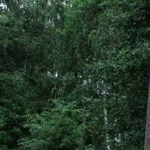 Павел Владимиров, г. Дубна