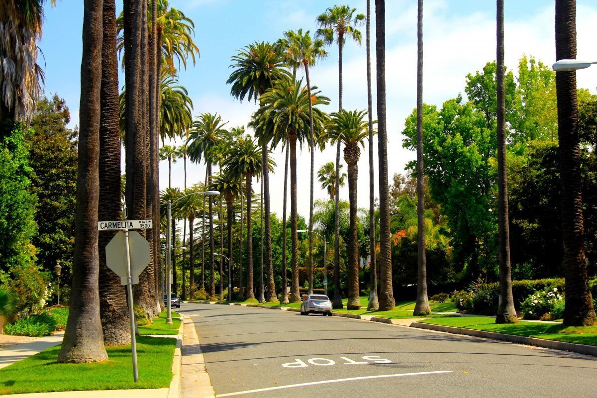 Лос анджелес пальмы