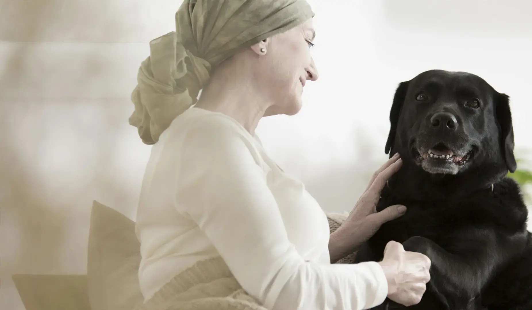 Старый альбом.