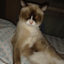 Евгения, г. Норильск