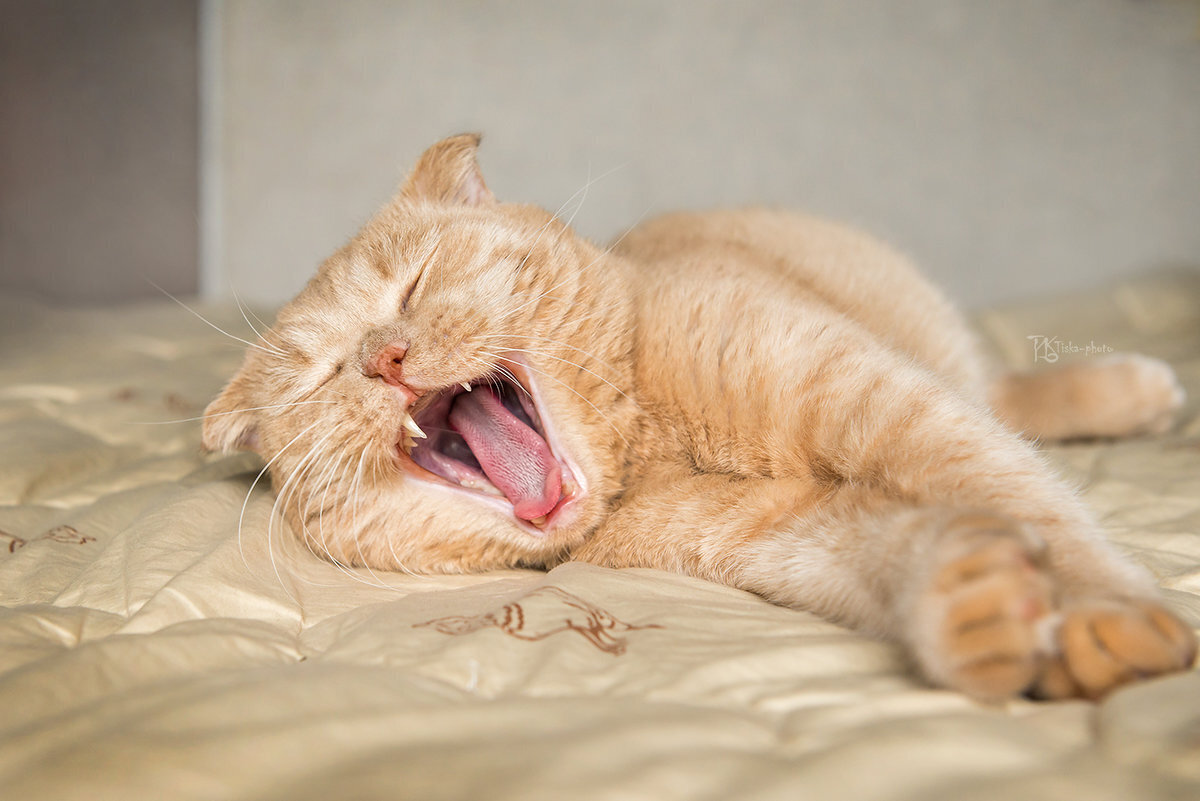 Благодарность за малое