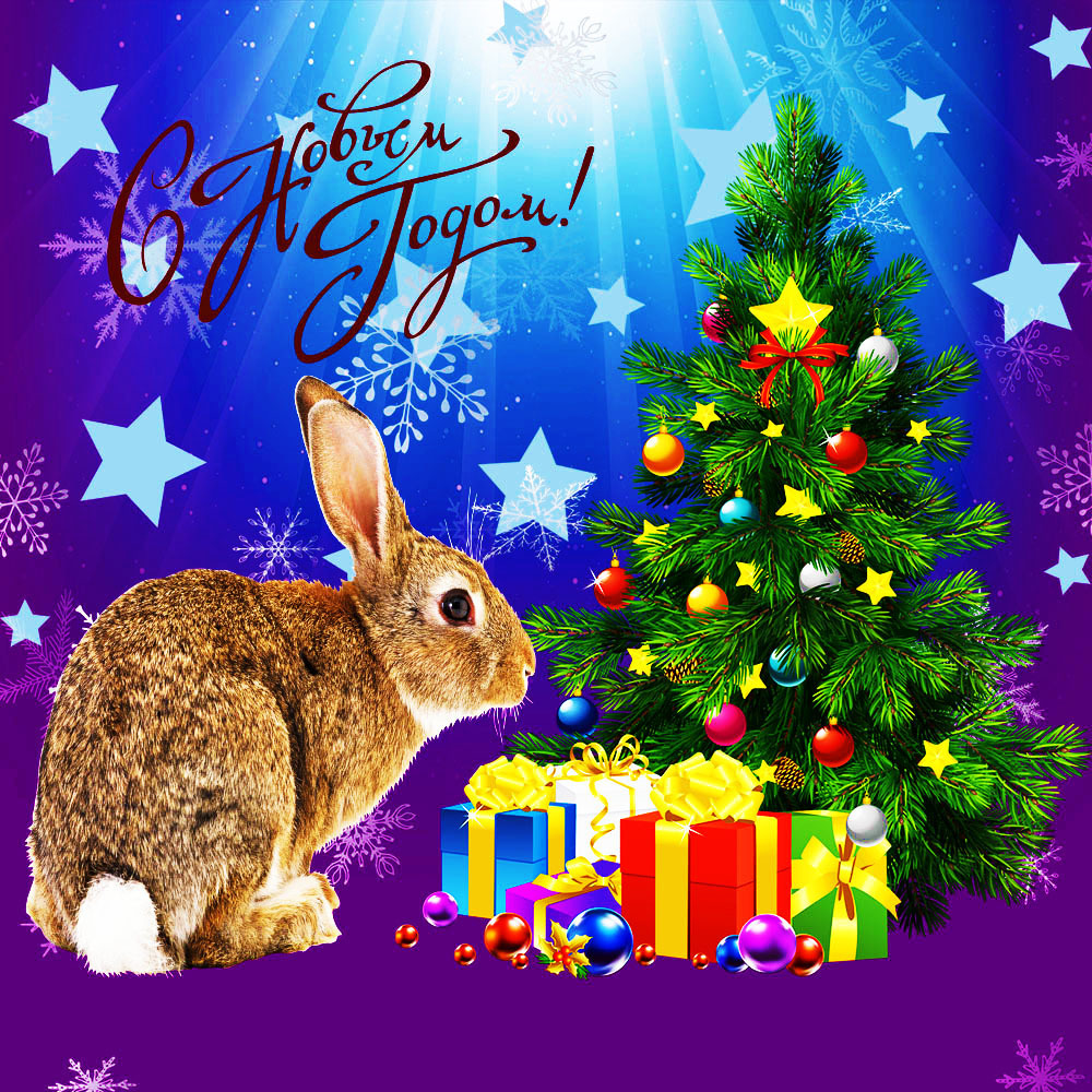 Новым годом год кролика. Кролик новый год. Новогодний кролик картинки. С наступающим новым годом кролика. С наступающим новым годом кролика 2023.
