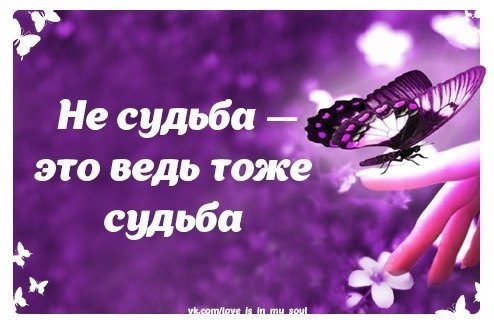 История о том, как соус оказался важнее блюда