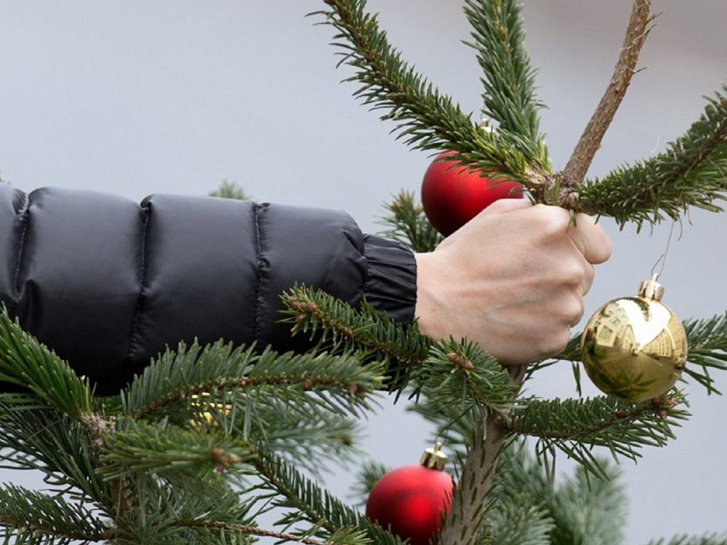 3 топ нарушений в новогодние праздники: почему некоторые россияне на новогодних каникулах оказываются в полиции, а не дома? Полезно знать!