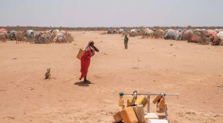 Год: 2022 - Год стихийных бедствий