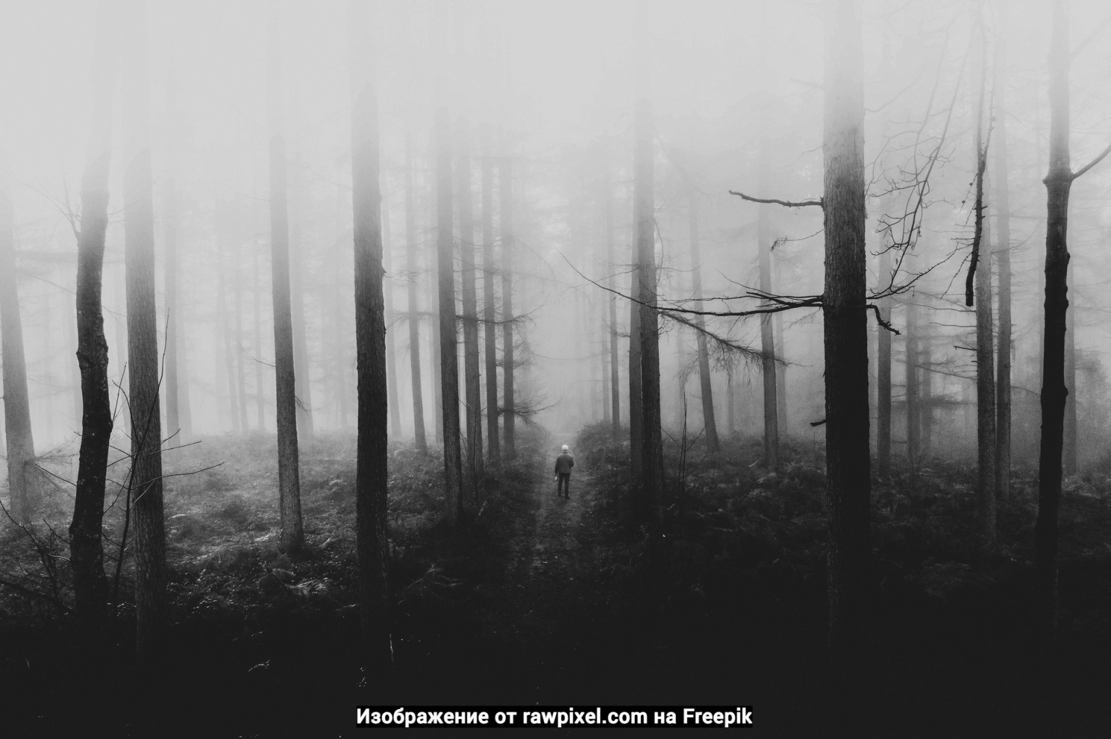 Как привлечь достойного мужчину в свою жизнь